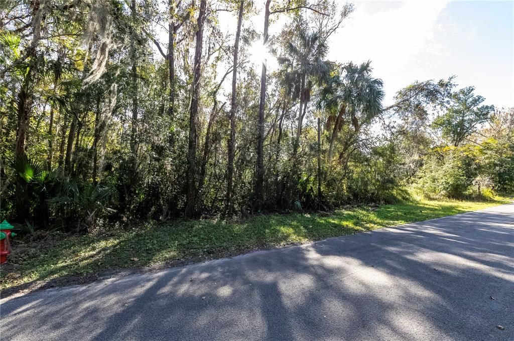 На продажу: $9,990 (0.11 acres)