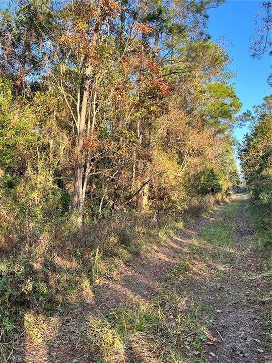En Venta: $90,000 (2.50 acres)