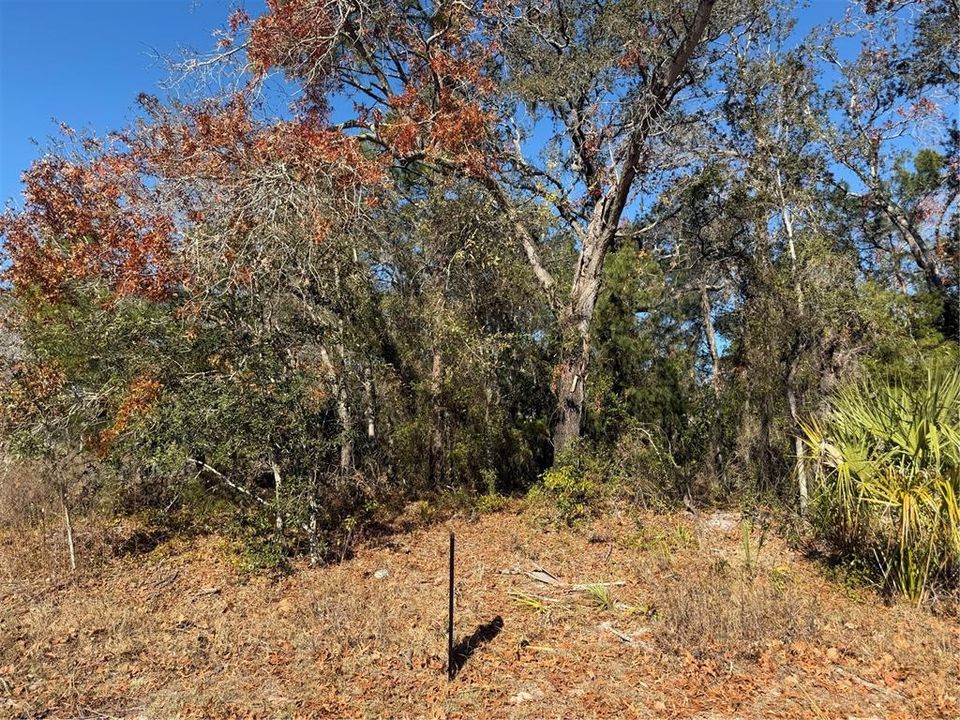 For Sale: $70,000 (0.32 acres)