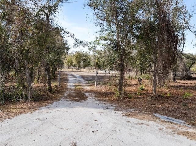 For Sale: $279,000 (3.16 acres)