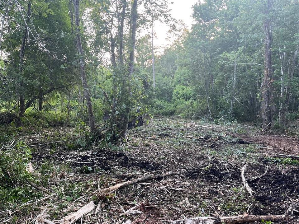 En Venta: $120,000 (7.97 acres)