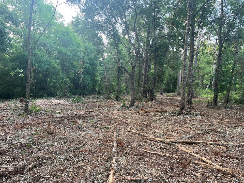 En Venta: $120,000 (7.97 acres)