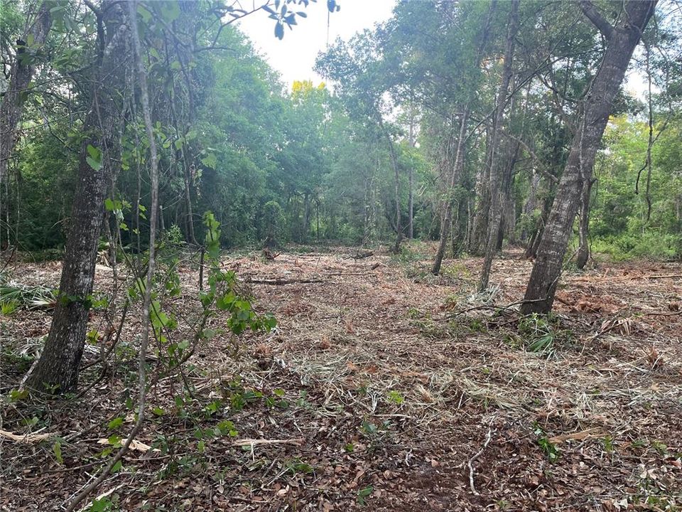 En Venta: $120,000 (7.97 acres)
