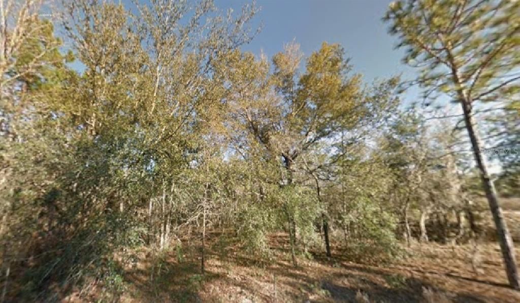 For Sale: $9,500 (0.23 acres)
