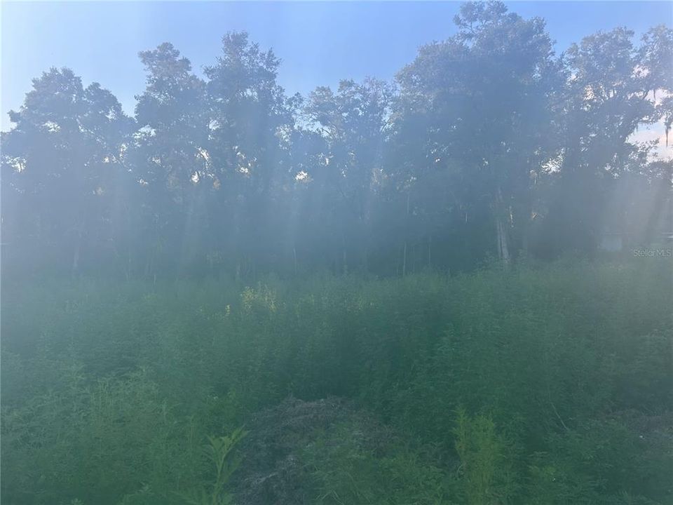 For Sale: $32,000 (0.30 acres)