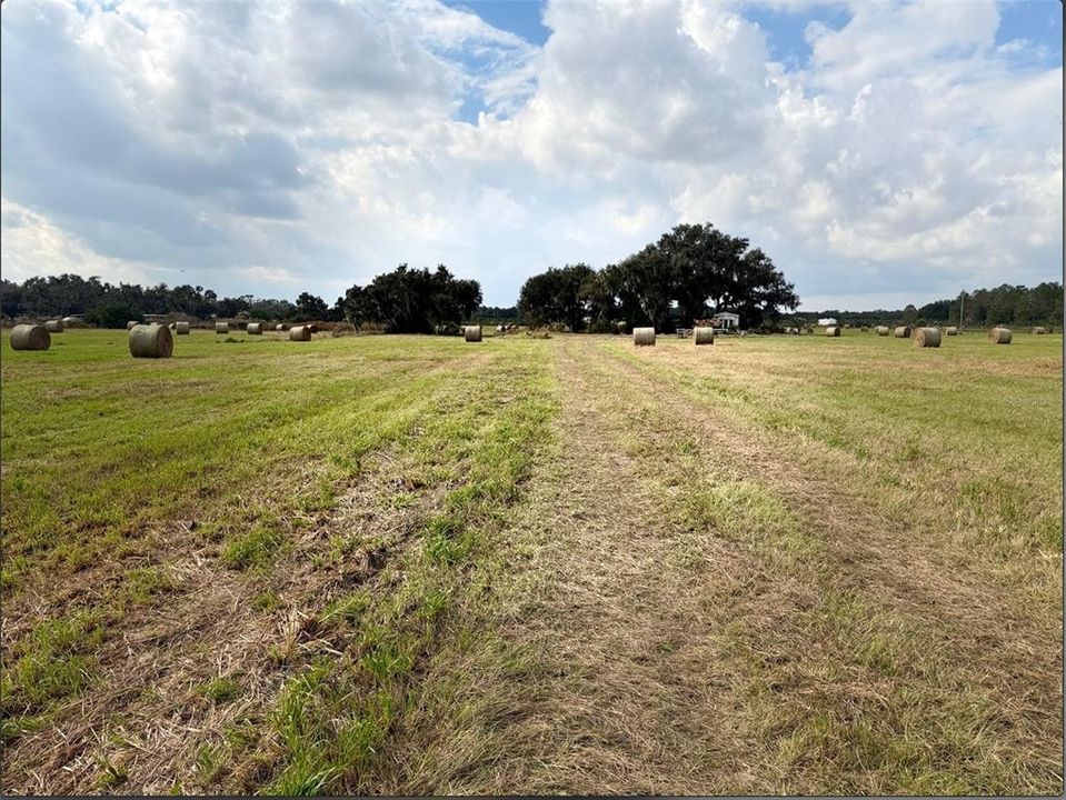 En Venta: $1,350,000 (11.06 acres)