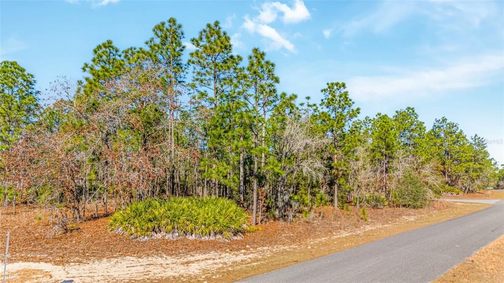 待售: $55,000 (0.58 acres)