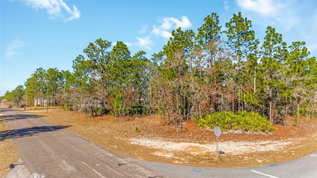 待售: $55,000 (0.58 acres)