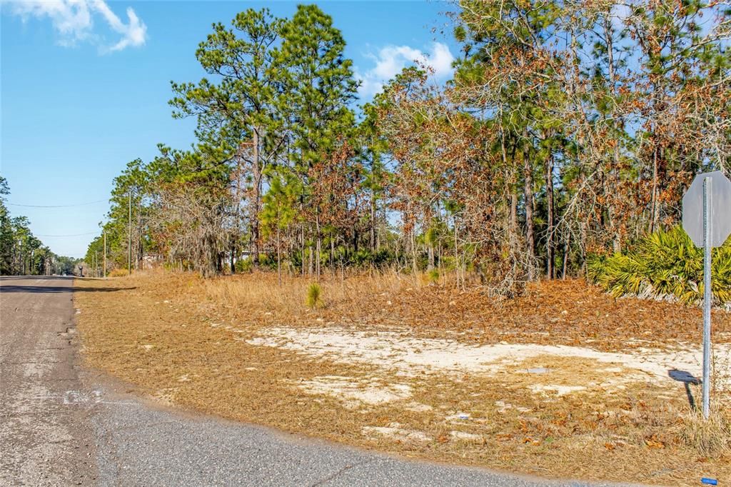 待售: $55,000 (0.58 acres)