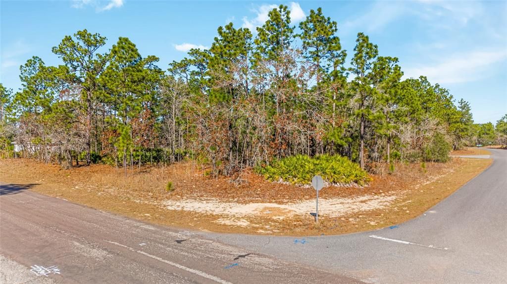 待售: $55,000 (0.58 acres)