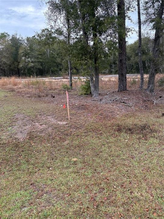 待售: $44,999 (0.95 acres)