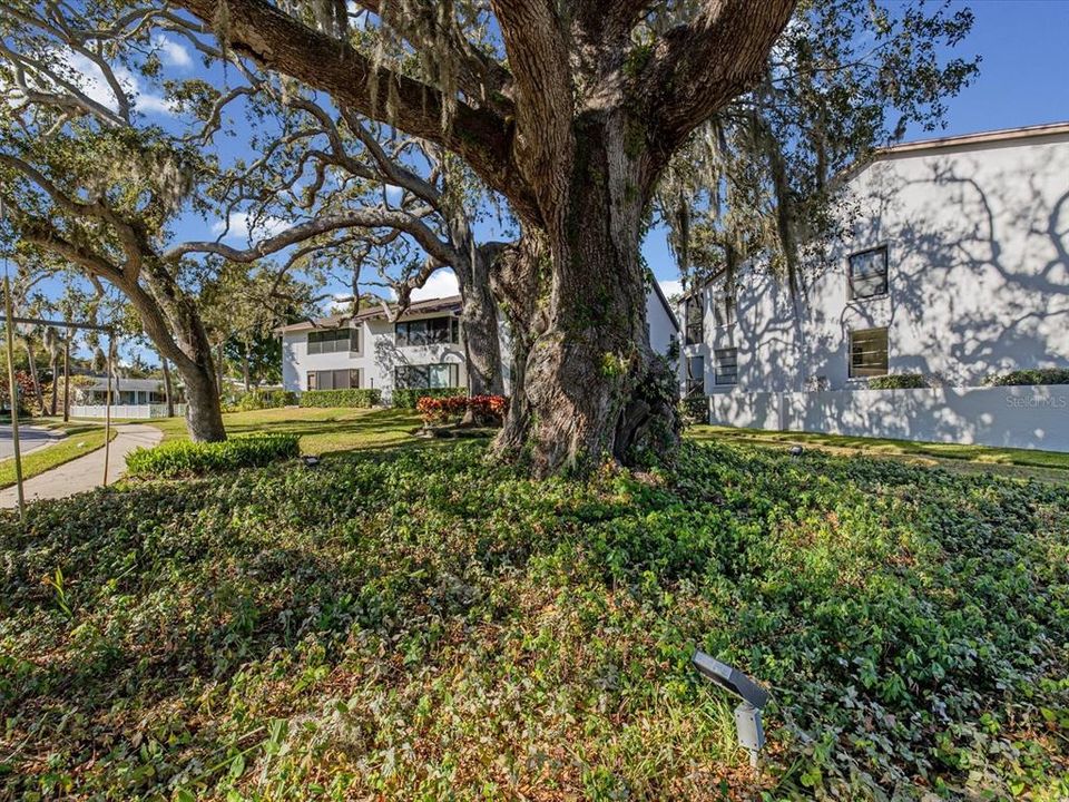 For Sale: $395,000 (2 beds, 2 baths, 1197 Square Feet)