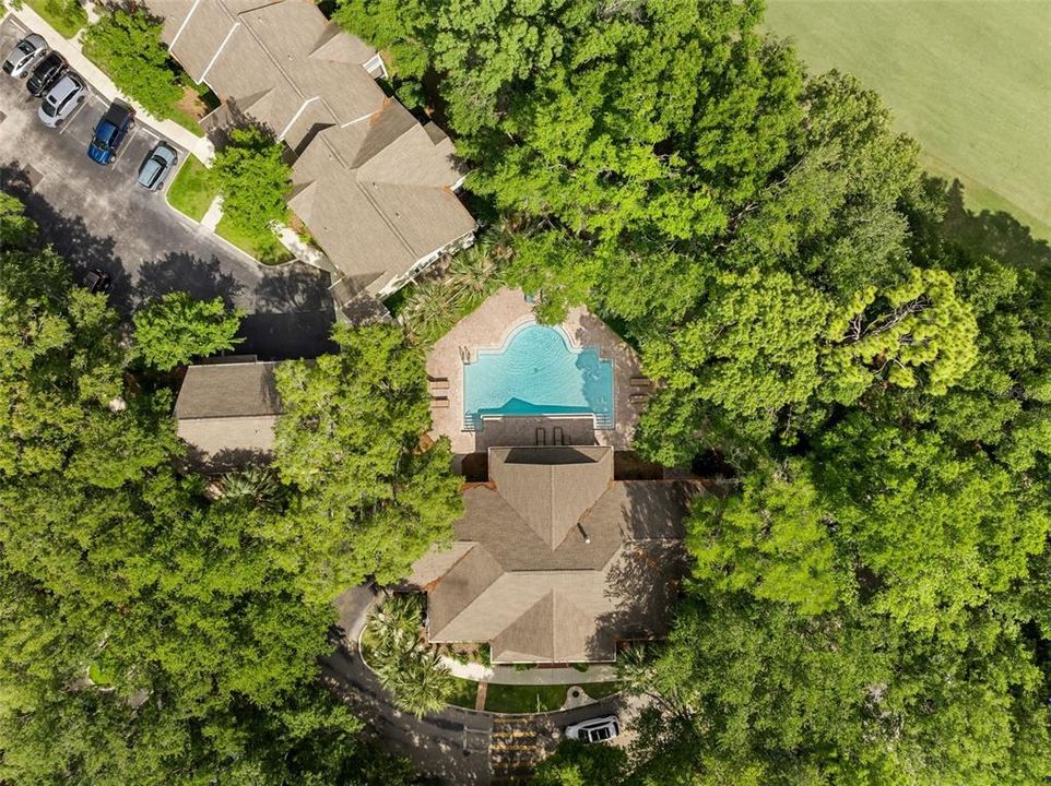 Под контрактом: $239,000 (3 спален, 2 ванн, 1369 Квадратных фут)