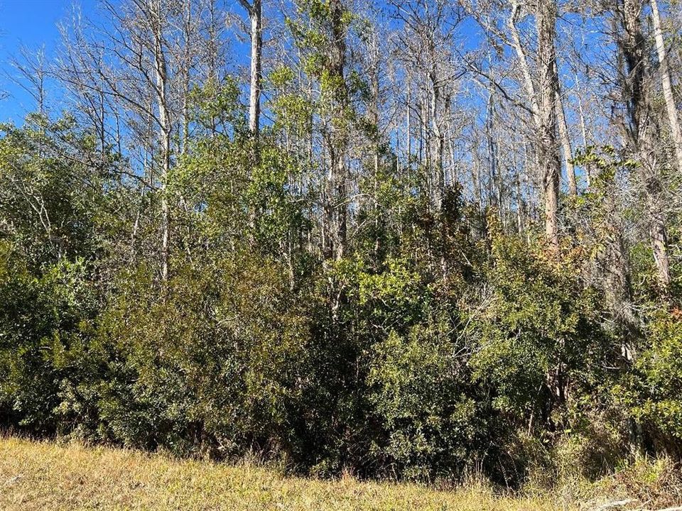 Activo con contrato: $90,000 (1.03 acres)