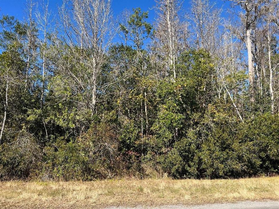 Activo con contrato: $90,000 (1.03 acres)