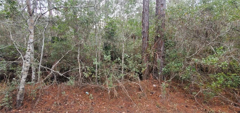 На продажу: $18,900 (0.45 acres)