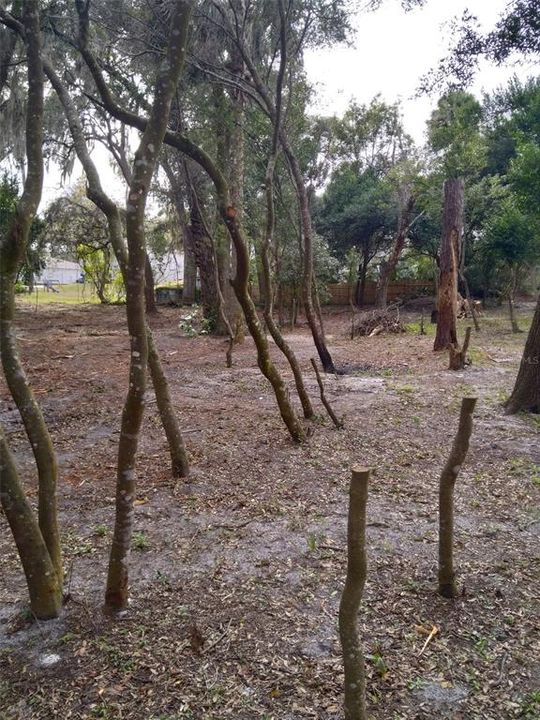 На продажу: $149,000 (1.47 acres)