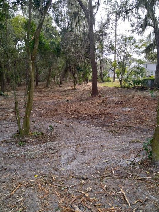 На продажу: $149,000 (1.47 acres)