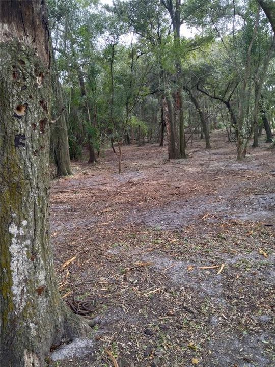 На продажу: $149,000 (1.47 acres)