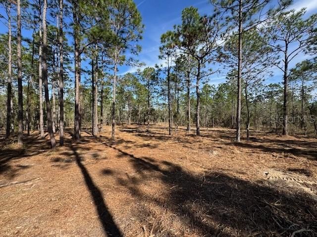 Active With Contract: $31,900 (0.99 acres)