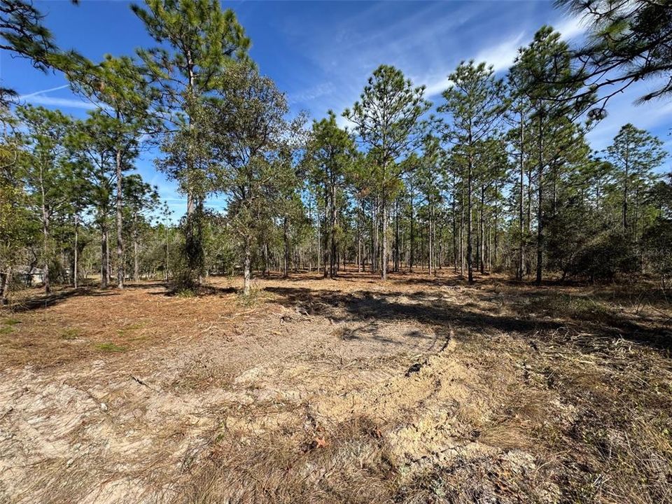Active With Contract: $31,900 (0.99 acres)