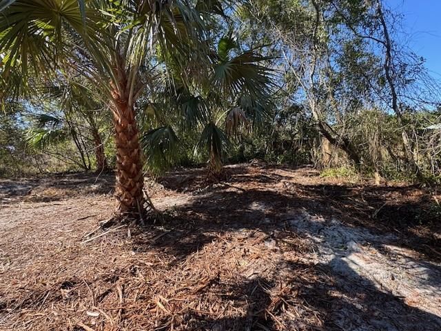 待售: $29,900 (0.26 acres)