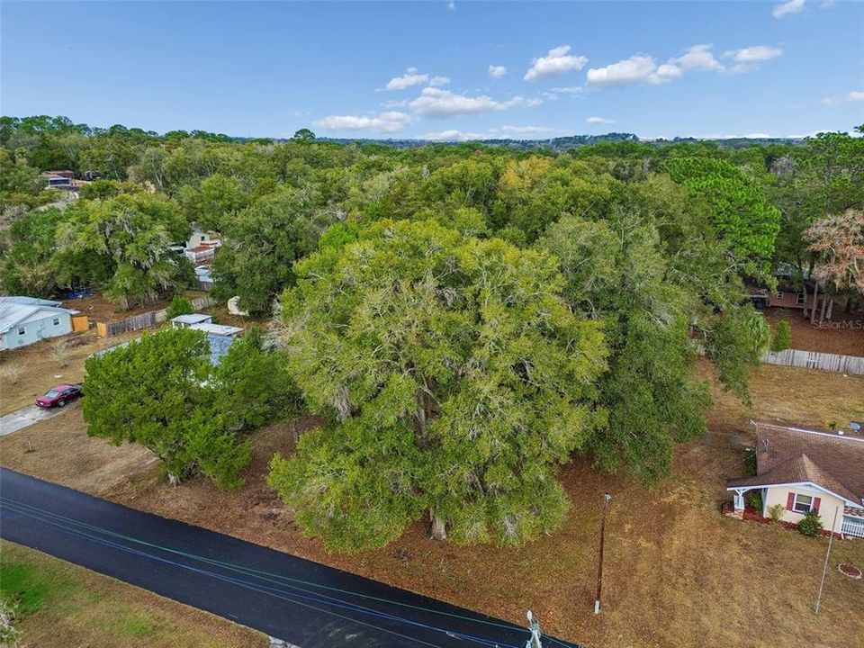 For Sale: $18,000 (0.34 acres)