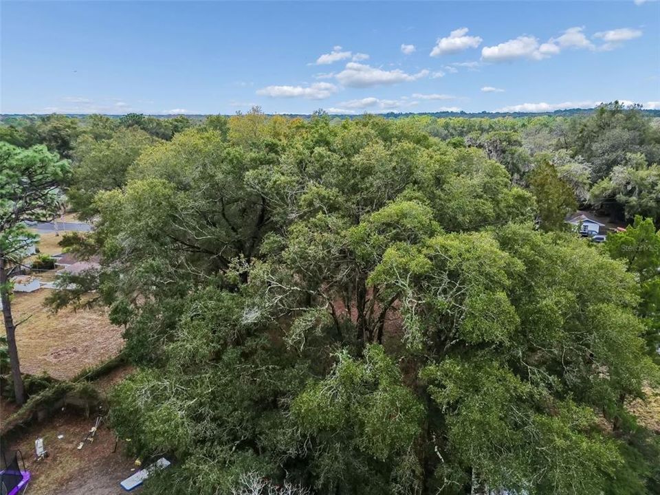 For Sale: $18,000 (0.34 acres)