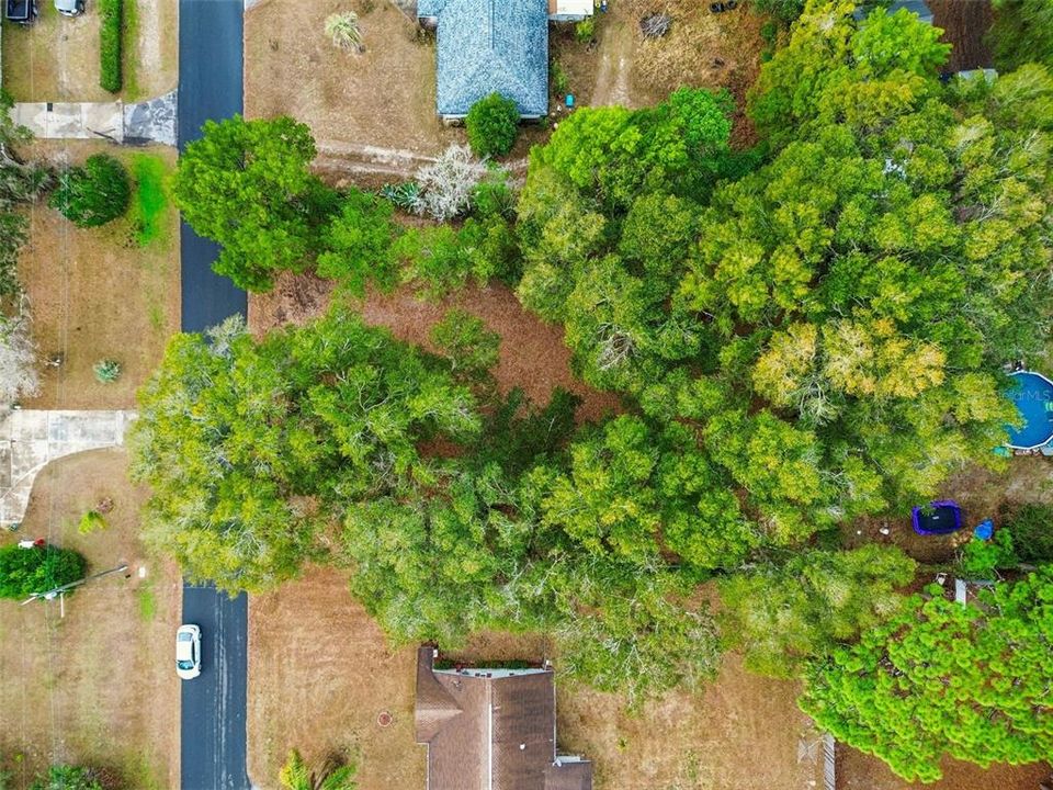 For Sale: $18,000 (0.34 acres)