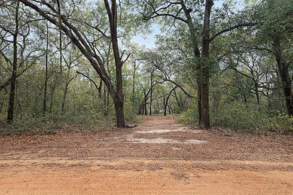 最近售出: $13,500 (0.51 acres)