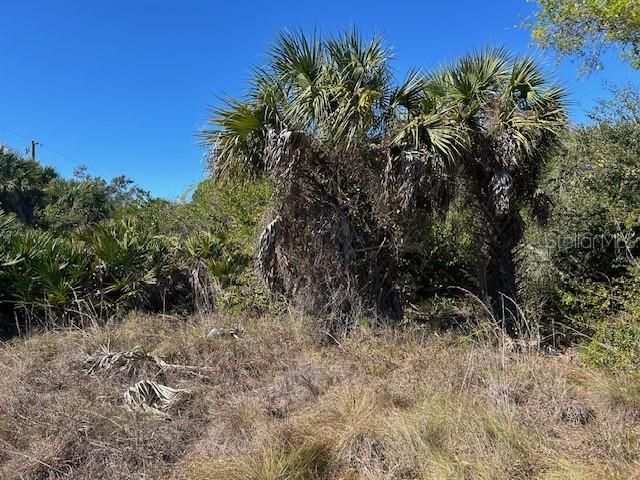 待售: $17,500 (0.18 acres)