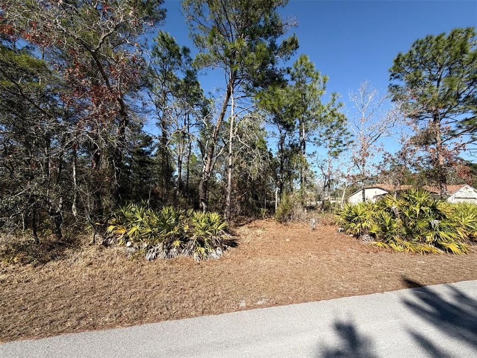 合同活跃: $62,900 (0.46 acres)