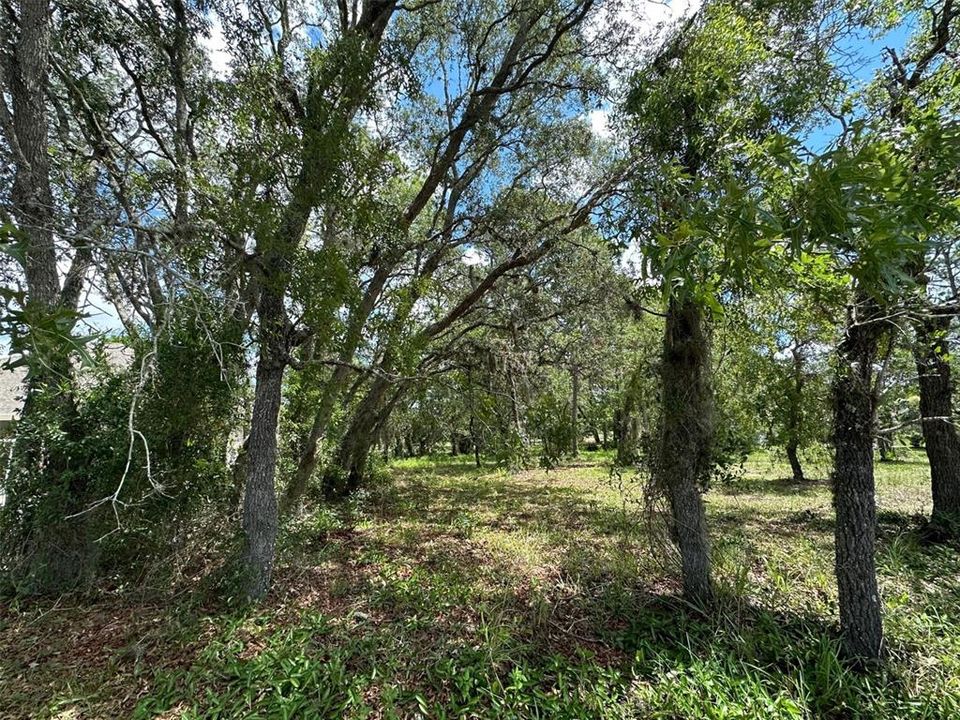 待售: $46,500 (0.34 acres)