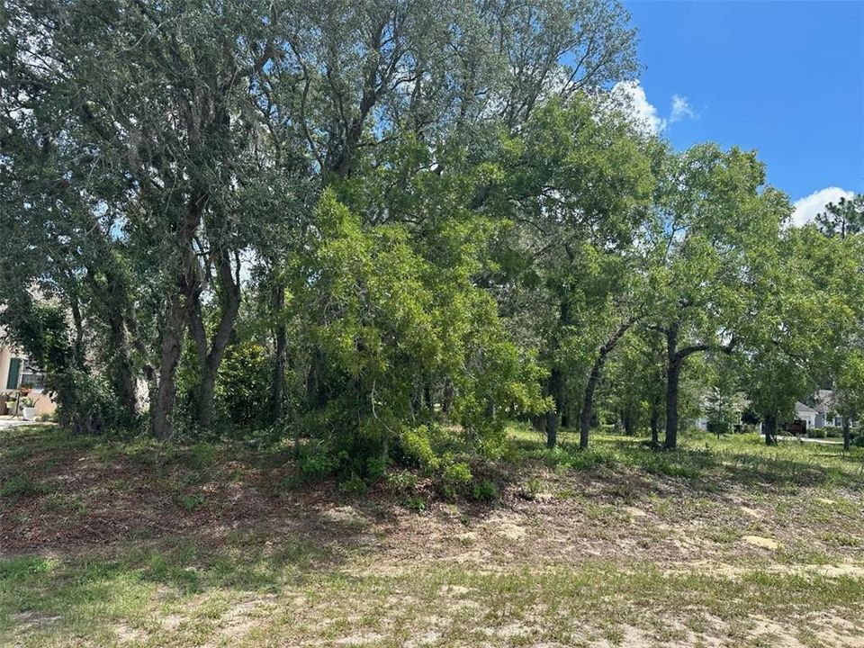 待售: $46,500 (0.34 acres)