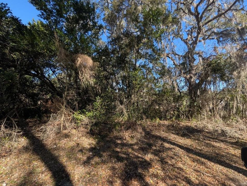 For Sale: $36,500 (0.33 acres)