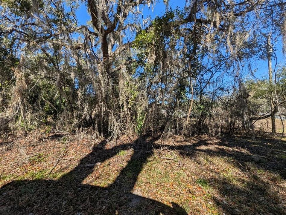 For Sale: $36,500 (0.33 acres)