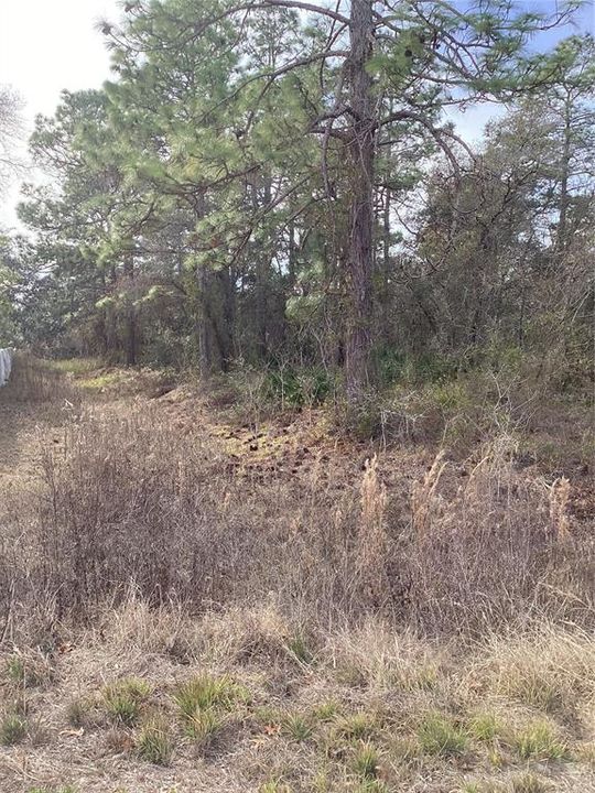 En Venta: $43,000 (0.48 acres)