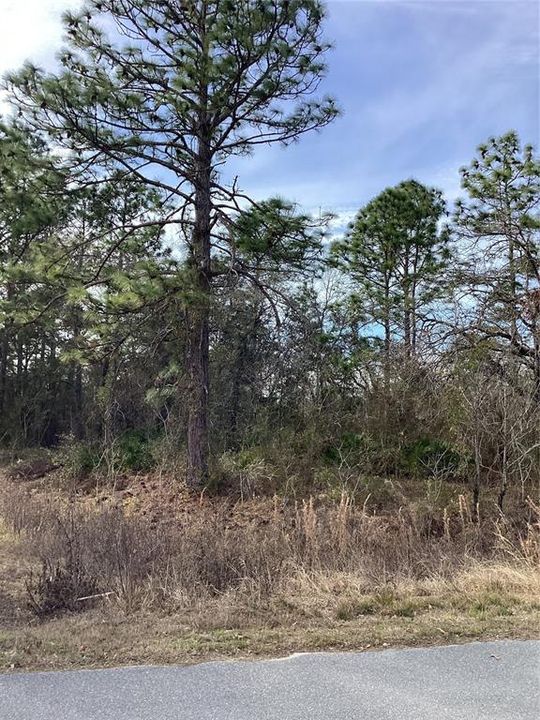 En Venta: $43,000 (0.48 acres)