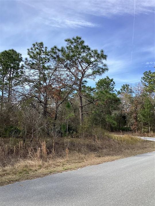 En Venta: $43,000 (0.48 acres)