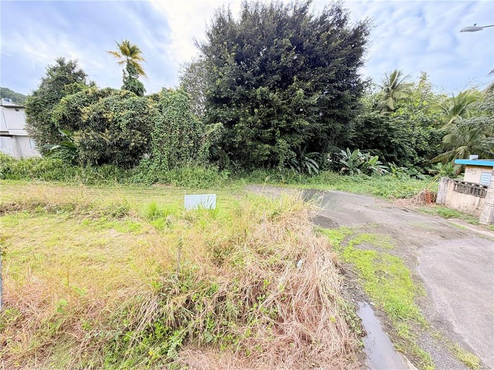 For Sale: $90,000 (0.37 acres)