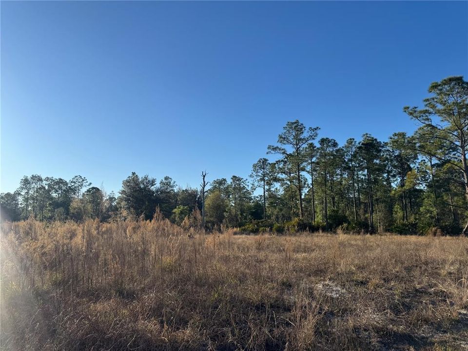 For Sale: $75,000 (1.00 acres)