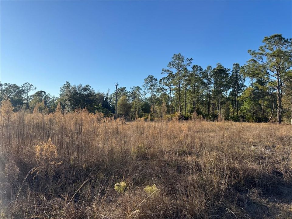 For Sale: $75,000 (1.00 acres)