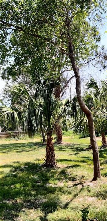 На продажу: $65,000 (0.27 acres)