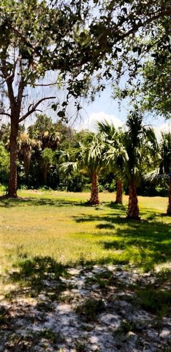 На продажу: $65,000 (0.27 acres)