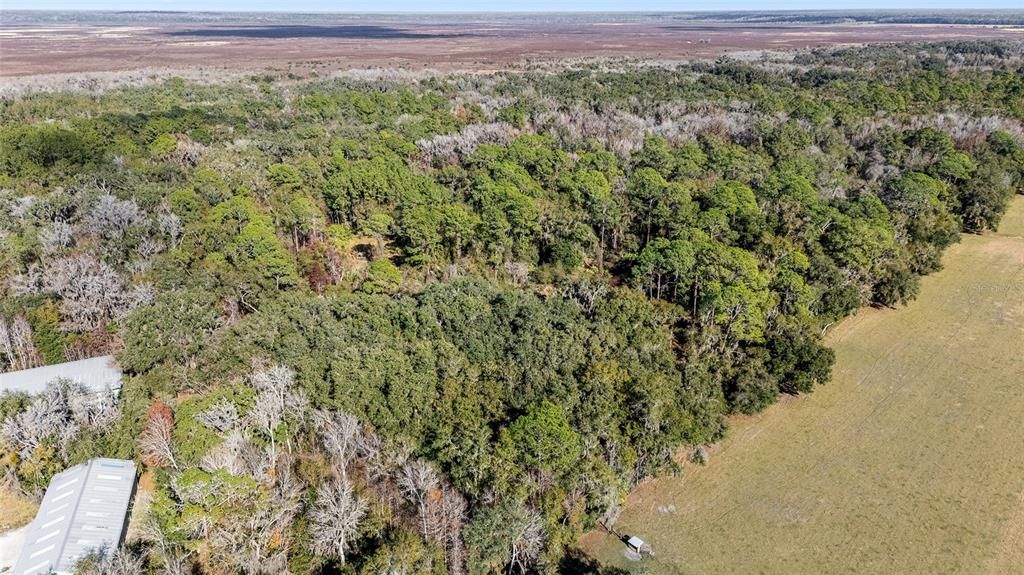For Sale: $379,900 (15.20 acres)