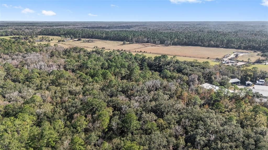 For Sale: $379,900 (15.20 acres)