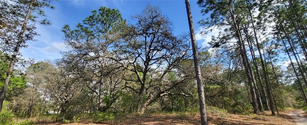 Recently Sold: $109,900 (1.40 acres)
