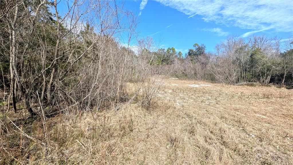 For Sale: $7,000,000 (351.73 acres)