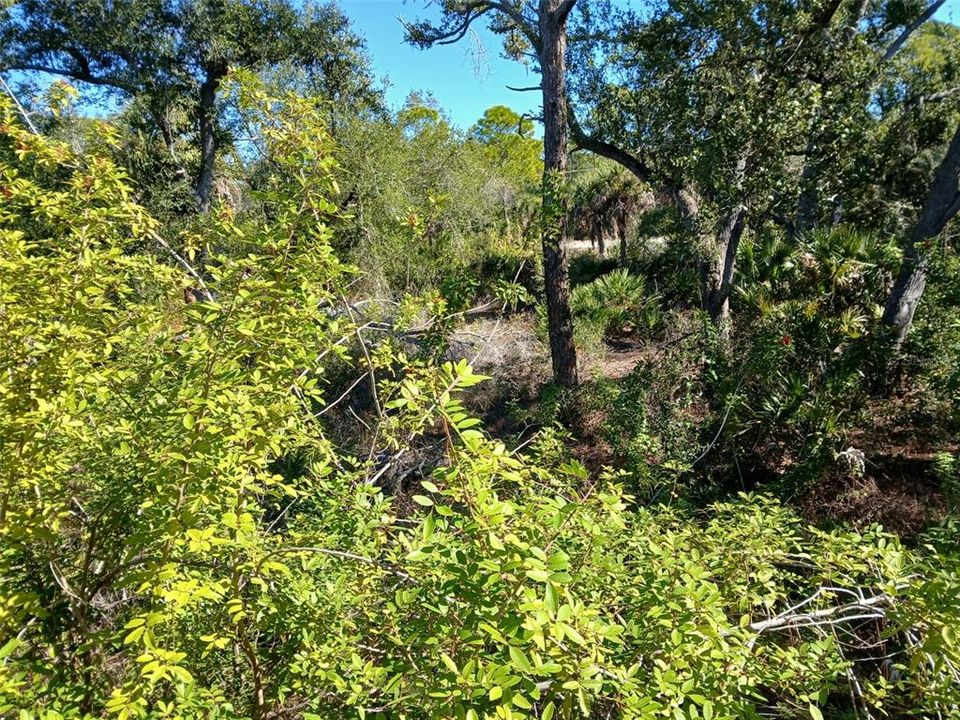 待售: $99,999 (0.23 acres)