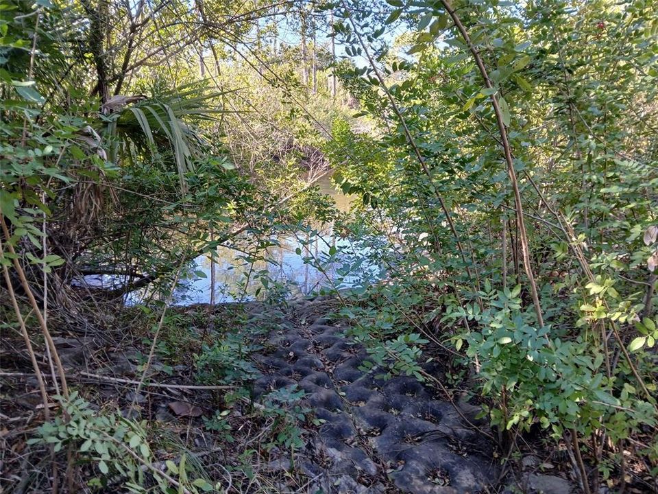 待售: $99,999 (0.23 acres)